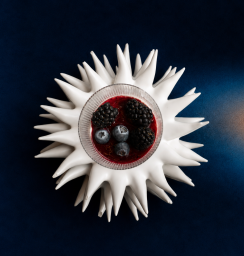 rp1